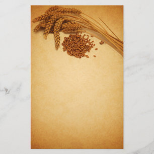 Papelaria Vintage Autumn Wheat Corn - Stationery Letterhead