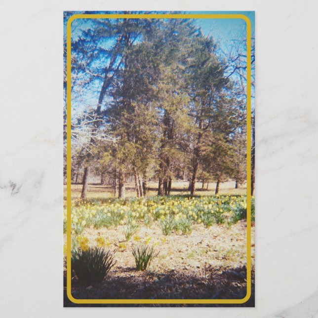 Papelaria Vintage Daffodil Stationery (Frente)