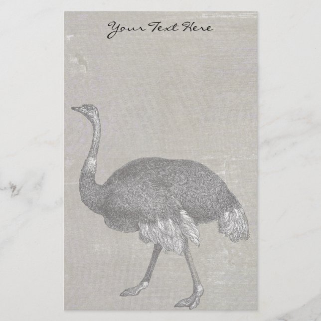 Papelaria Vintage Ostrich (Frente)