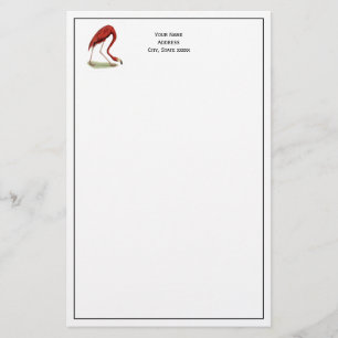 Papelaria Vintage Pink Flamingo #1