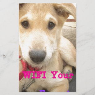 Papelaria Você Deveria Fazer O Seu Amor Todos Os Dias