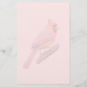 Papelaria Watermark cardinal