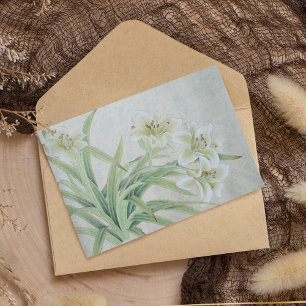 Papelaria White Lily