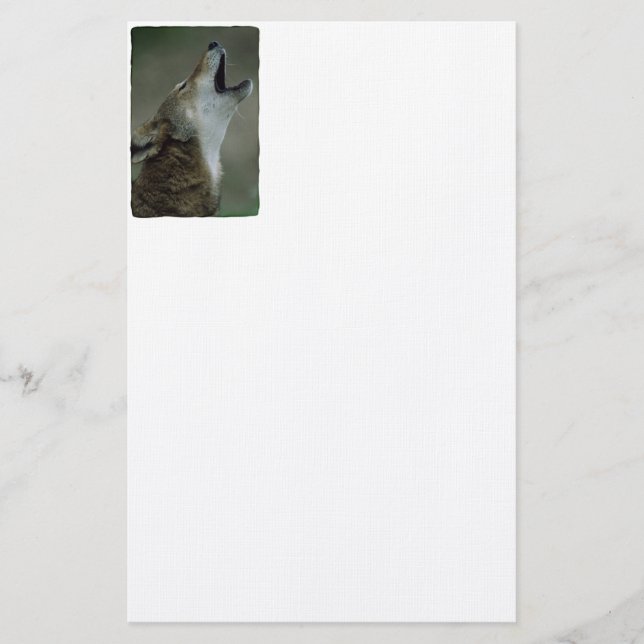 Papelaria Wilber Timber Wolf Howling (Frente)