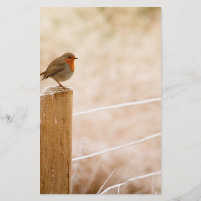 Papelaria Winter Robin Redbreast (Frente)