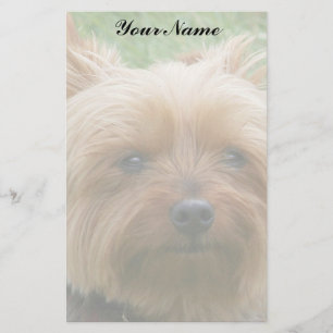 Papelaria Yorkshire terrier