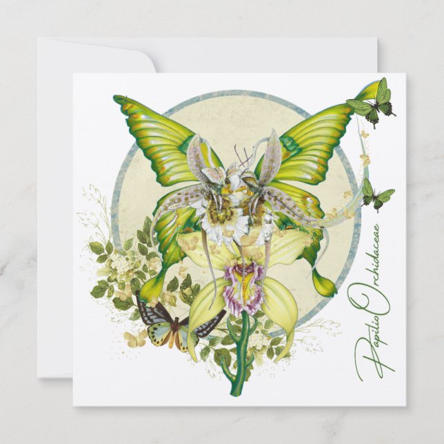 Papilio Orchidaceae (Frente)