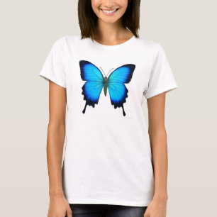 Papilio Ulysses Borboleta Damas Camisa De Corte