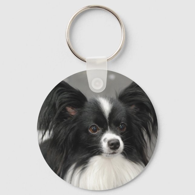 Papillon Dog Chaveiro (Frente)