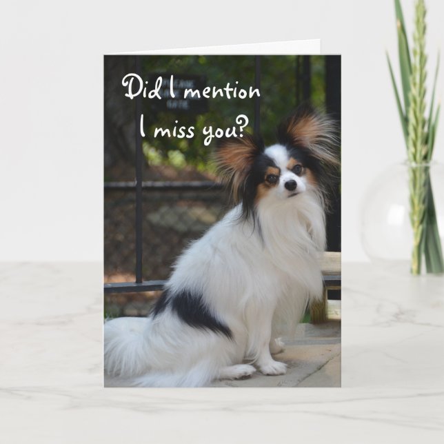 Papillon mim senhorita Você Cartão (Frente)