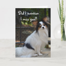 Papillon mim senhorita Você Cartão