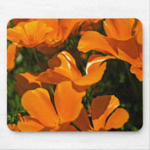 Papoilas de Califórnia Mousepad