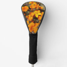 Papoulas da Califórnia