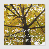 Par de Árvores de Mapeamento Amarelas Ouvir a Data