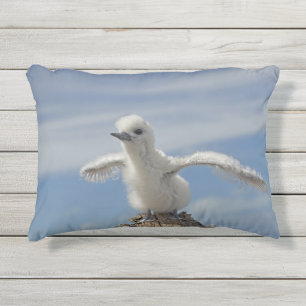 Para Ambientes Externos Salve nossa almofada de aves marinhas por RoseWrit