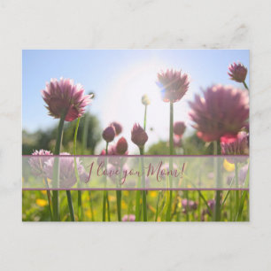 Para as melhores mamães do mundo! cartão postal