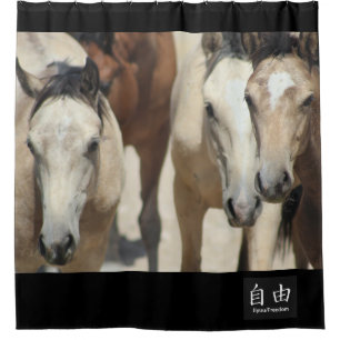 Para Box CAVALOS SELVAGENS DA Cortina de Chá UTAH FREEDOM