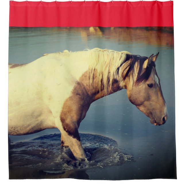 Para Box CAVALOS SELVAGENS DE UTAH PINTO NA Cortina de Chá  (Frente)