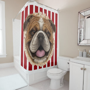 Para Box Cortina Chá Buldogue