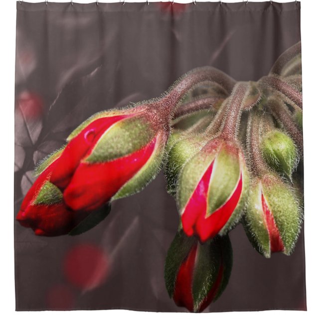 Para Box Cortina chá Vermelho E Escuro (Frente)