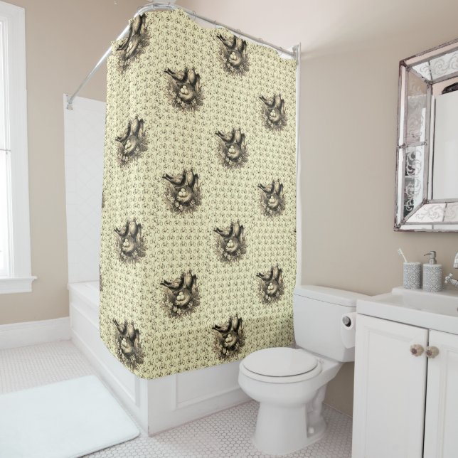 Para Box Cortina Chá Vitoriana (In Situ)