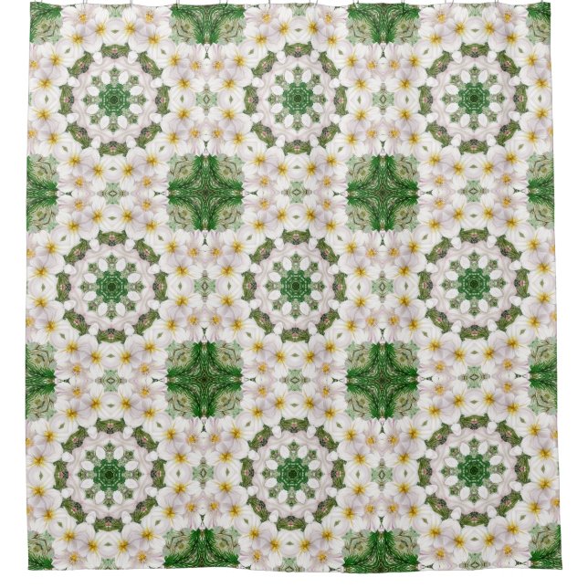 Para Box Cortina de Banho Botanical Abstract (Frente)