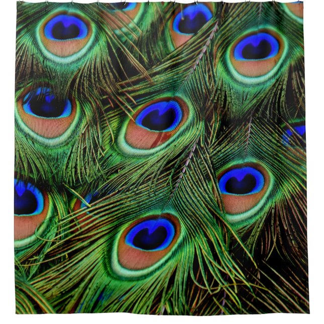 Para Box Cortina de Banho Cortinas Azul Verde Pavão Pavões (Frente)