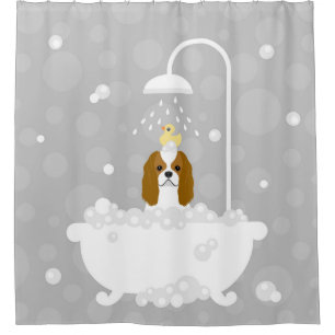 Para Box Cortina de Chá Cavalier King Charles Spaniel