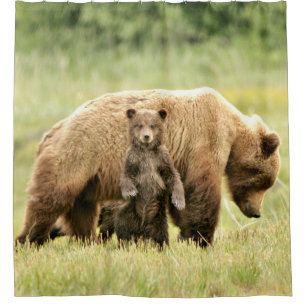 Para Box Cortina de chá com urso & filhotes de urso