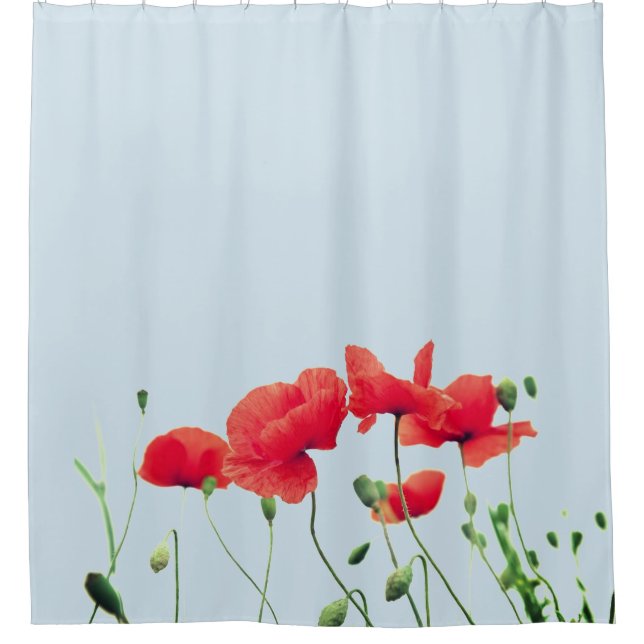 Para Box Cortina de chá da flor da papoila (Frente)