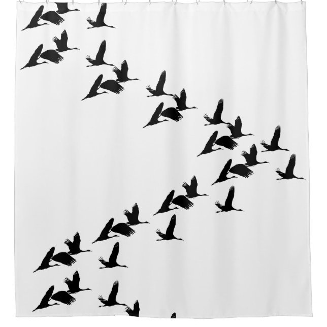 Para Box Cortina de Chá da Vida Selvagem de Sandhill Crane (Frente)