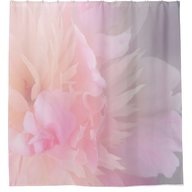 Para Box Cortina de Chá de Blush Floral Rosa (Frente)