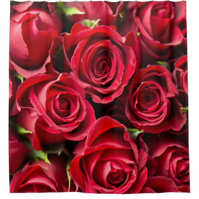 Para Box Cortina de Chá de luxo Rosa vermelha (Frente)