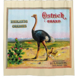 Para Box Cortina de Chá de Marca de avestruz