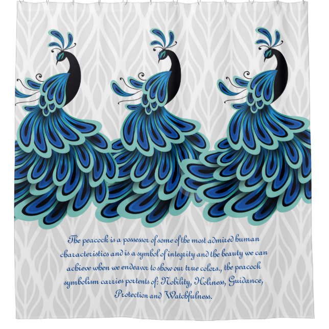 Para Box Cortina de Chá de Peacock/Silver (Frente)