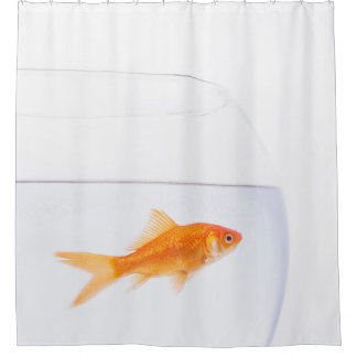Para Box Cortina de Chá de Peixe Goldfish Solitário