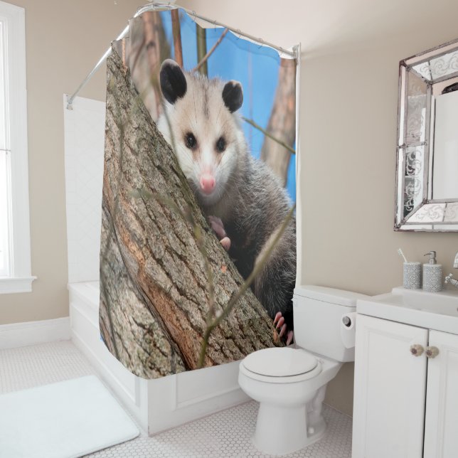 Para Box Cortina de Chá de Possum (In Situ)