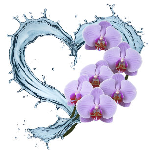 Para Box Cortina de Chá de Vinha com Orquídeas Roxas