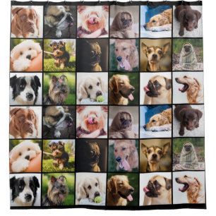 Para Box Cortina de chá do Cão Lover