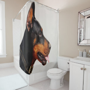 Para Box Cortina de chá do Doberman
