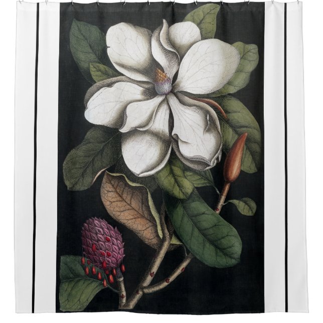 Para Box Cortina de Chá do Flor da Magnolia (Frente)