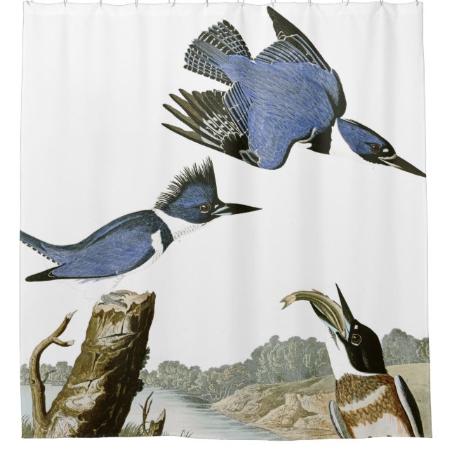 Para Box Cortina de chá dos animais selvagens dos pássaros (Frente)