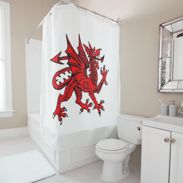 Para Box Cortina de chá Dragon (In Situ)