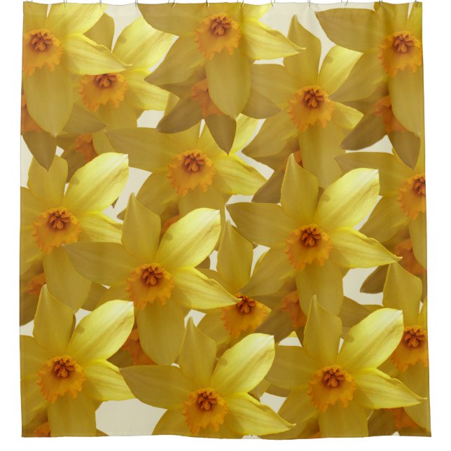 Para Box Daffodils Bloom Cortina (Frente)