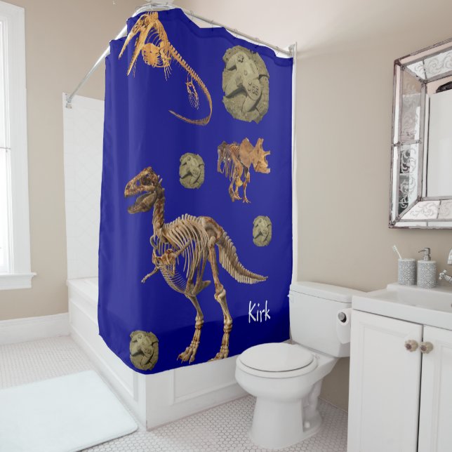 Para Box Dinossauro da Cortina do chá (In Situ)