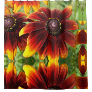 Para Box Flores de Verão Cortina de Chá de Fotografias