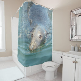 Para Box Foca-branca da Cortina de Chá do Cabo Cod