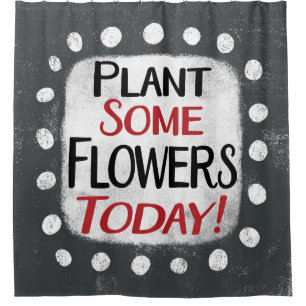 Para Box Plante Algumas Flores Hoje Cortina De Chá