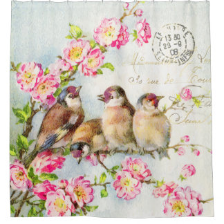 Para Box Primavera Feather Chá Cortina