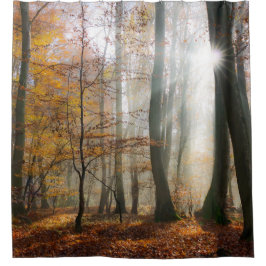 Para Box Sun irradia a cortina de chá enevoada místico da